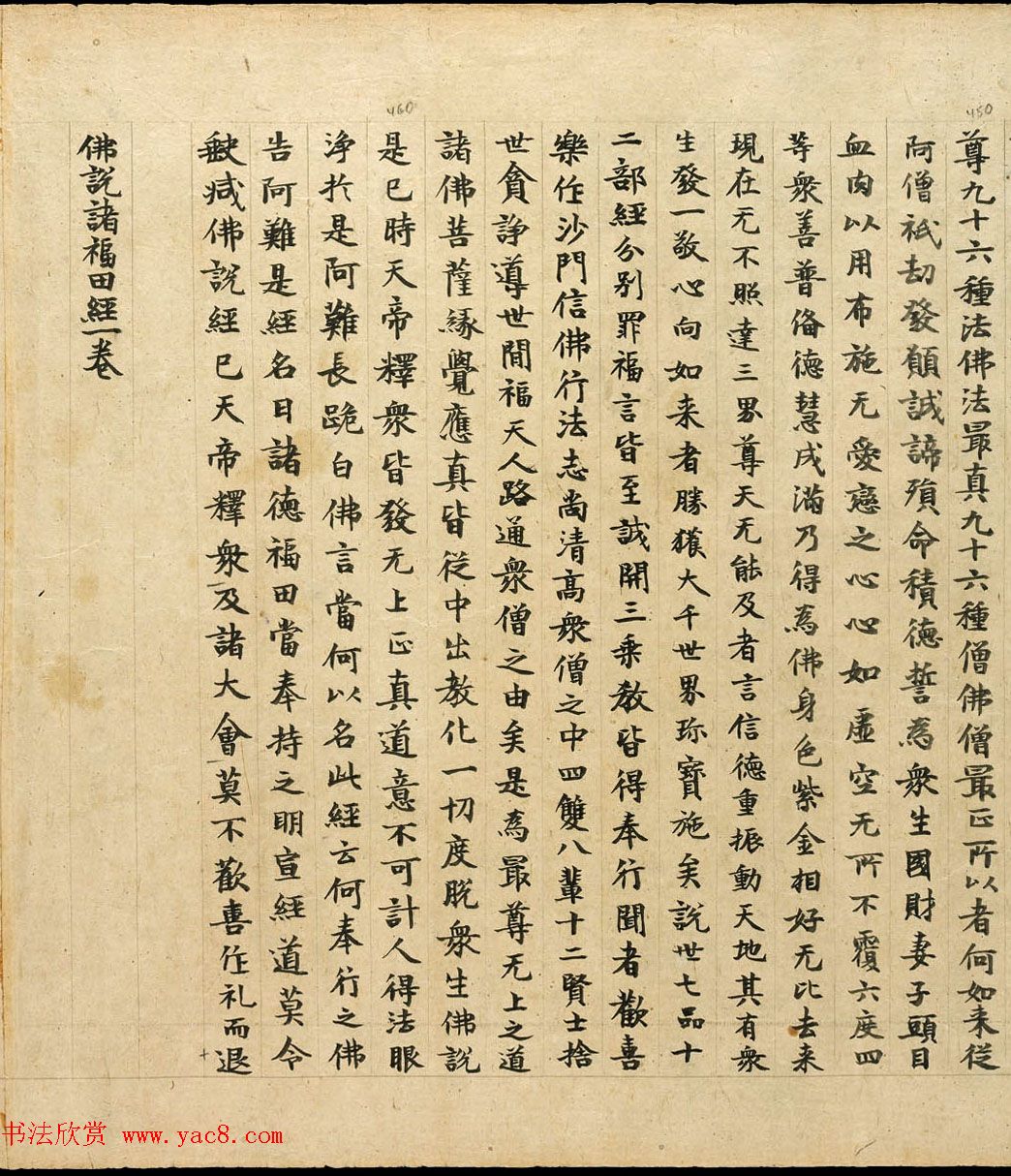 敦煌书法墨迹《佛说诸福田经》