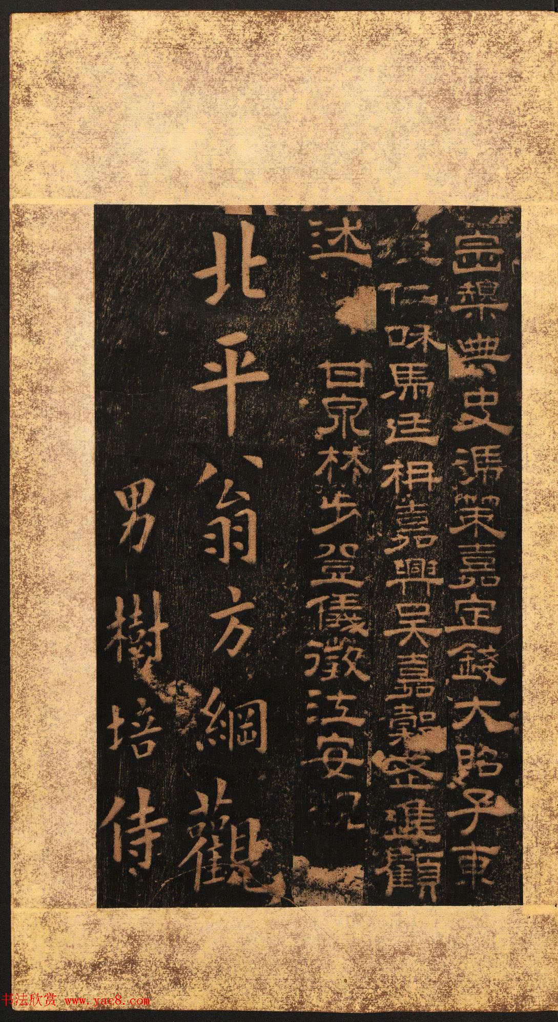 东汉隶书欣赏《熹平残碑》清末拓本