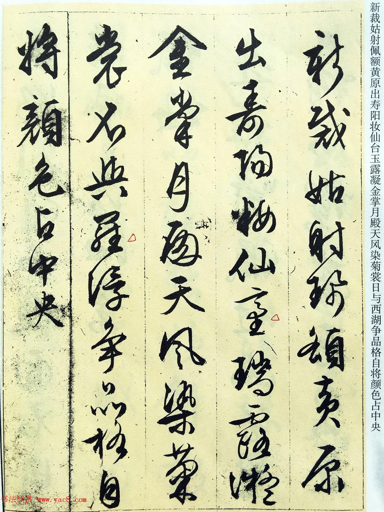 文徵明89岁墨宝《文征明书杂花诗十二首》