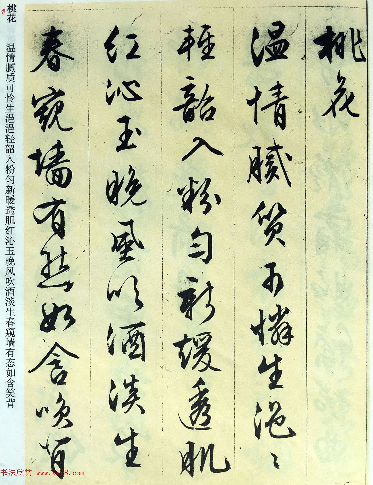 文徵明89岁墨宝《文征明书杂花诗十二首》