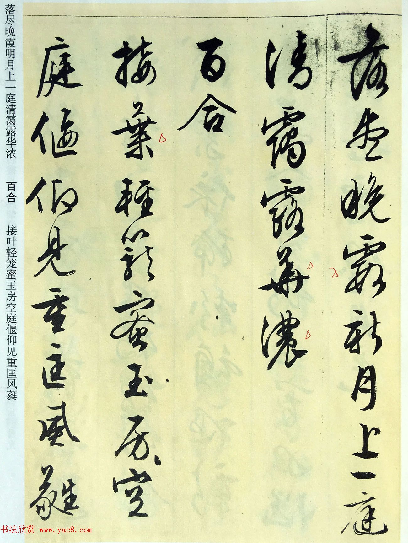 文徵明89岁墨宝《文征明书杂花诗十二首》