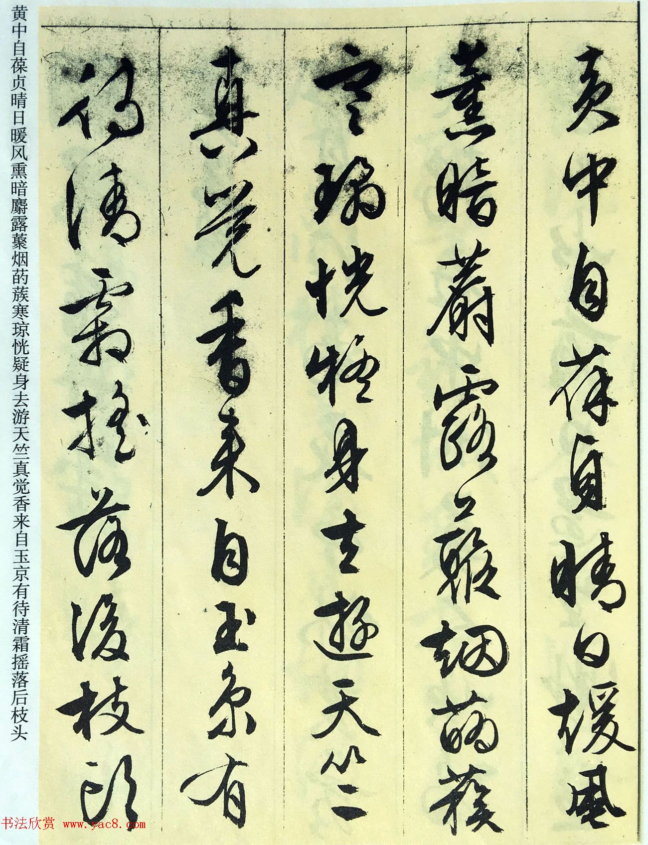 文徵明89岁墨宝《文征明书杂花诗十二首》