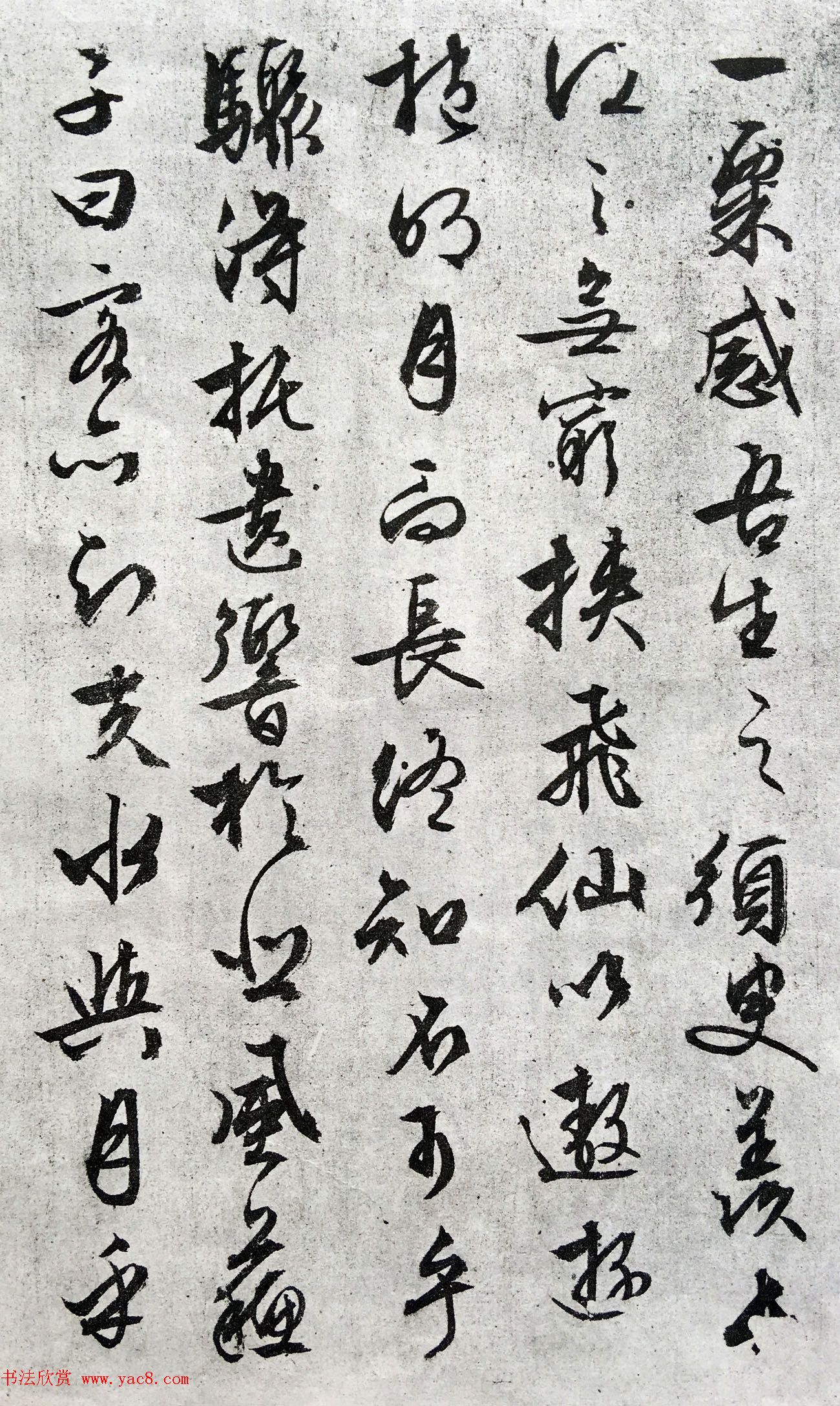 文徵明89岁行草书法欣赏《赤壁赋》