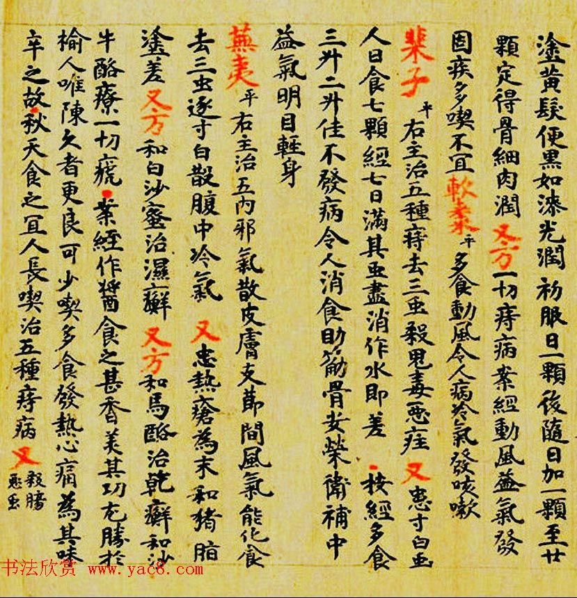 敦煌遗书墨迹--食疗药书残卷