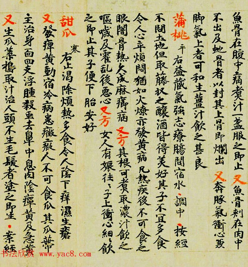 敦煌遗书墨迹--食疗药书残卷