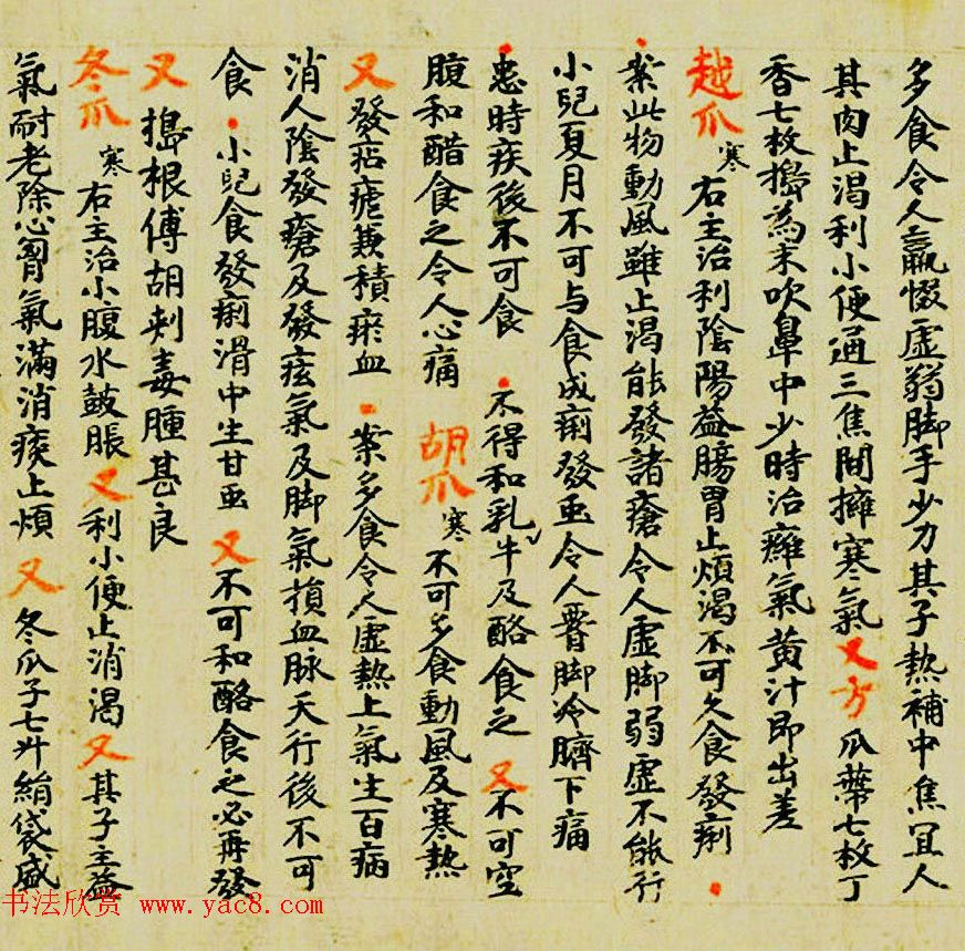 敦煌遗书墨迹--食疗药书残卷