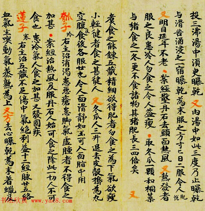 敦煌遗书墨迹--食疗药书残卷