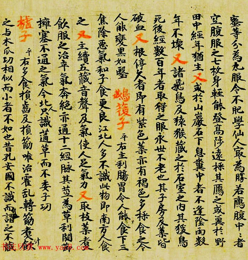 敦煌遗书墨迹--食疗药书残卷