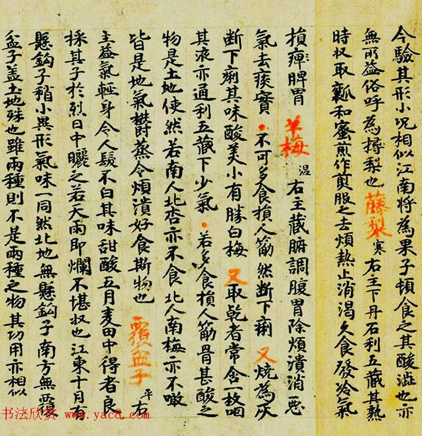 敦煌遗书墨迹--食疗药书残卷