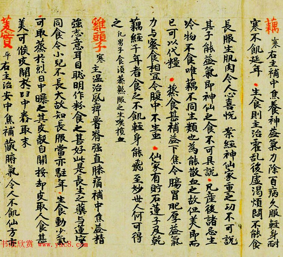 敦煌遗书墨迹--食疗药书残卷