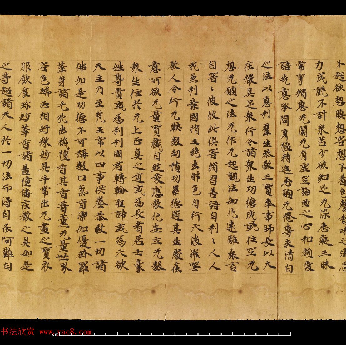 敦煌遗书《无量寿经卷上》日本藏