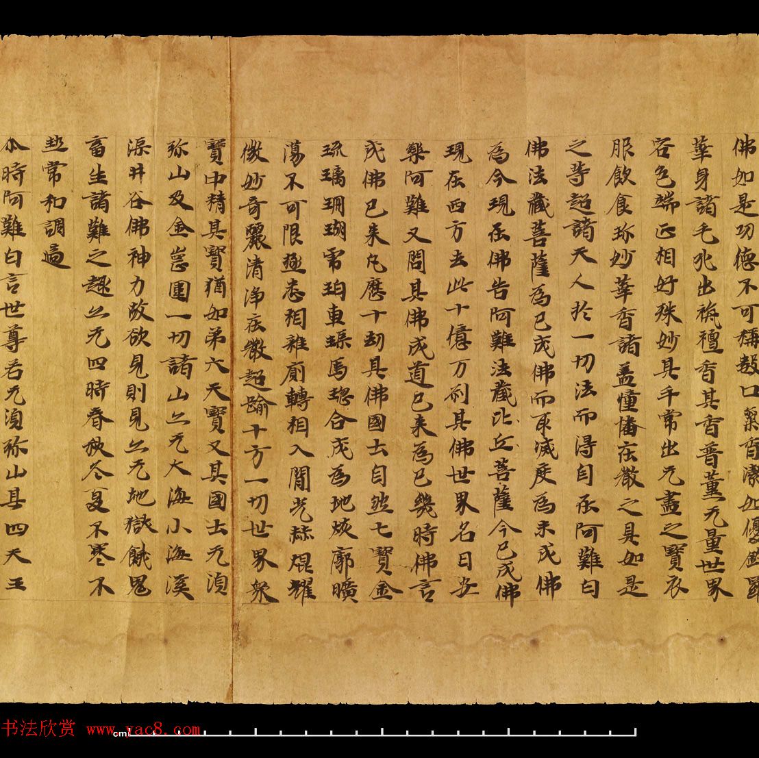 敦煌遗书《无量寿经卷上》日本藏