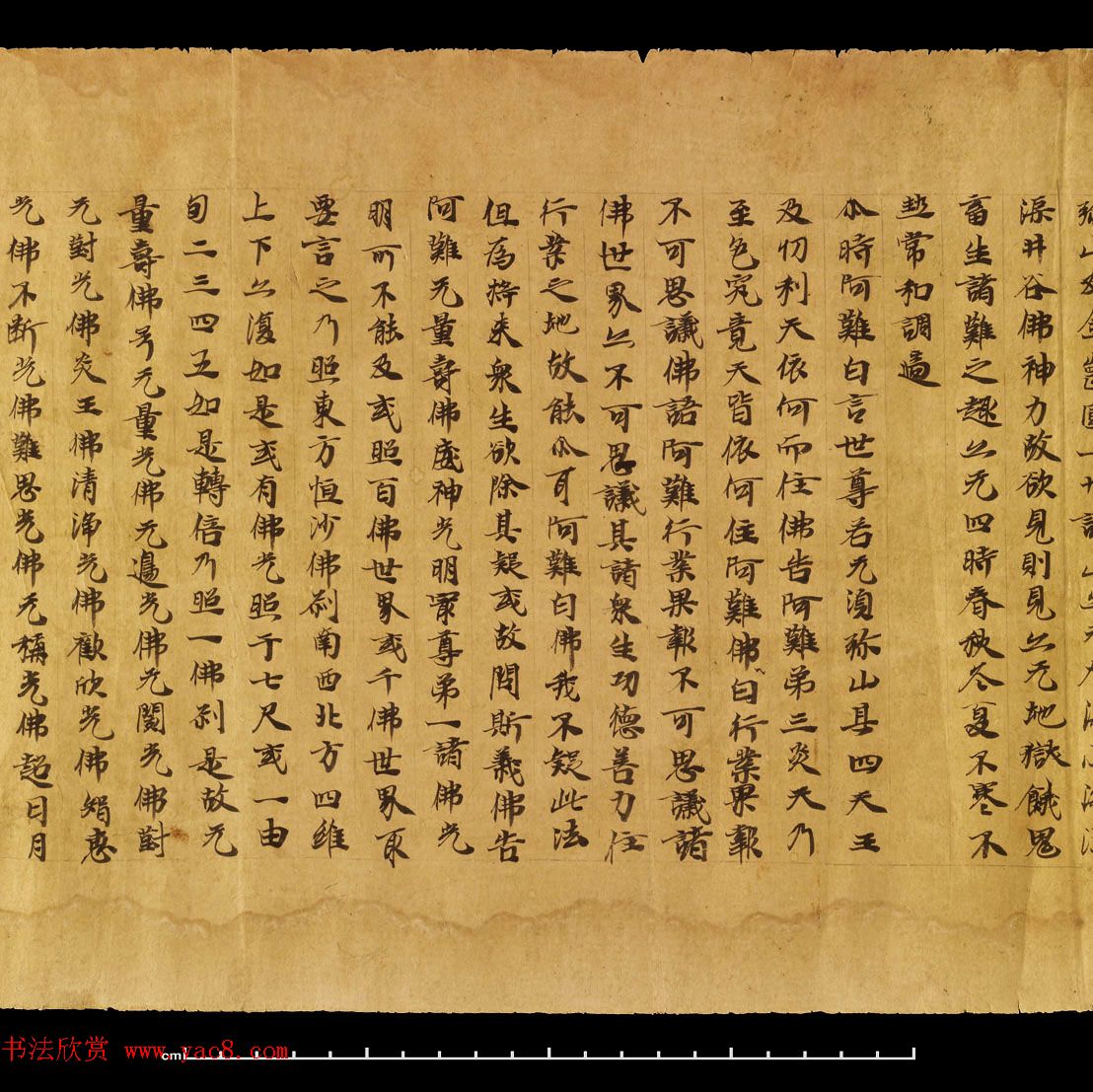 敦煌遗书《无量寿经卷上》日本藏