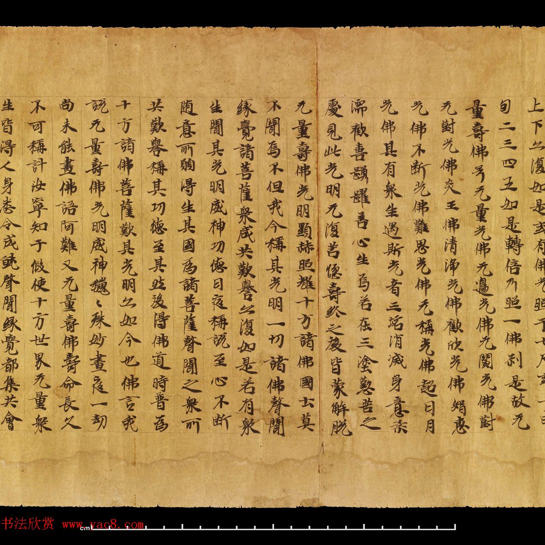 敦煌遗书《无量寿经卷上》日本藏