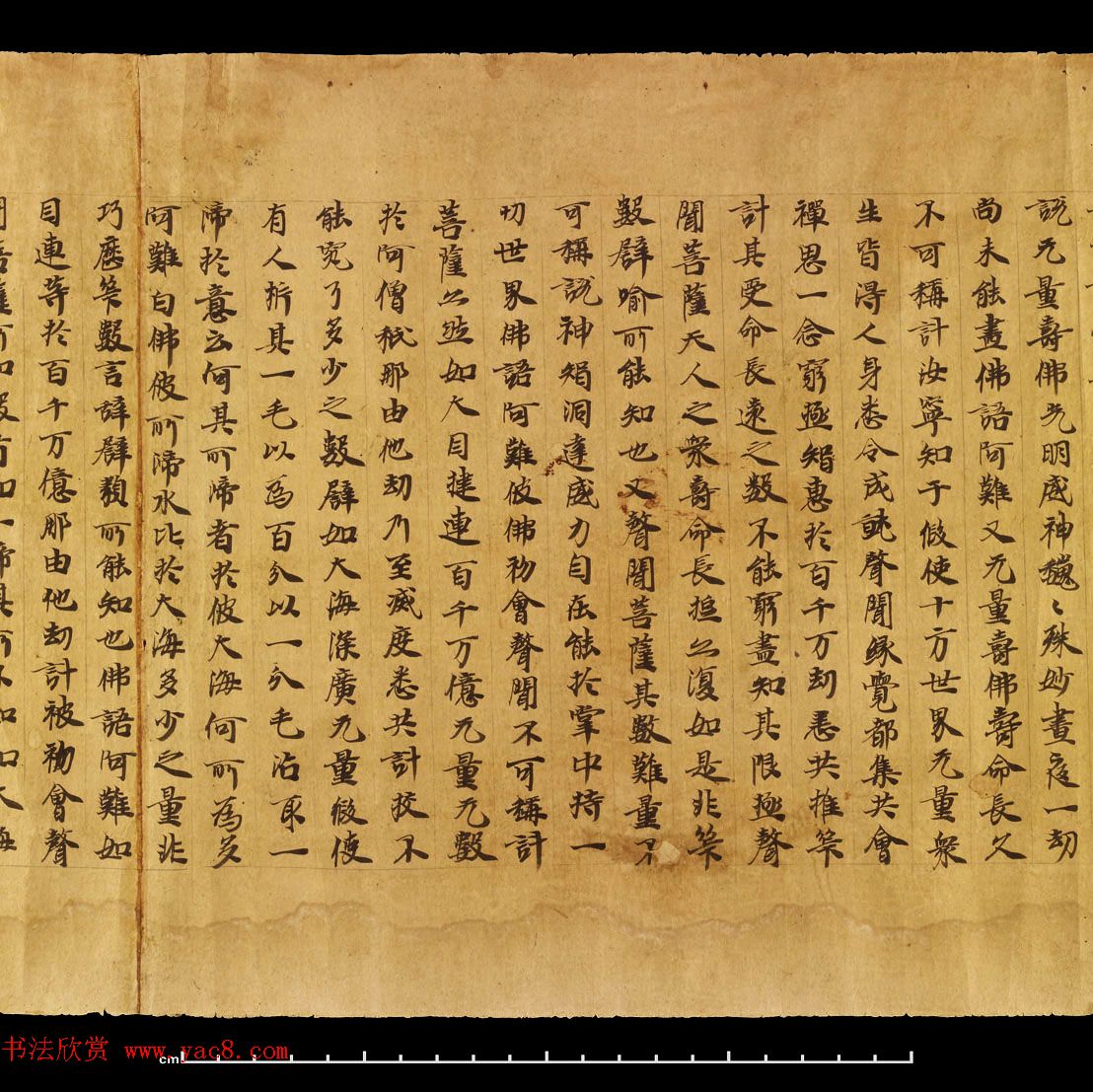 敦煌遗书《无量寿经卷上》日本藏