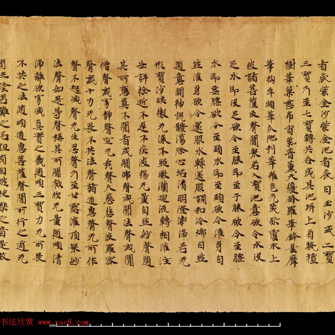 敦煌遗书《无量寿经卷上》日本藏