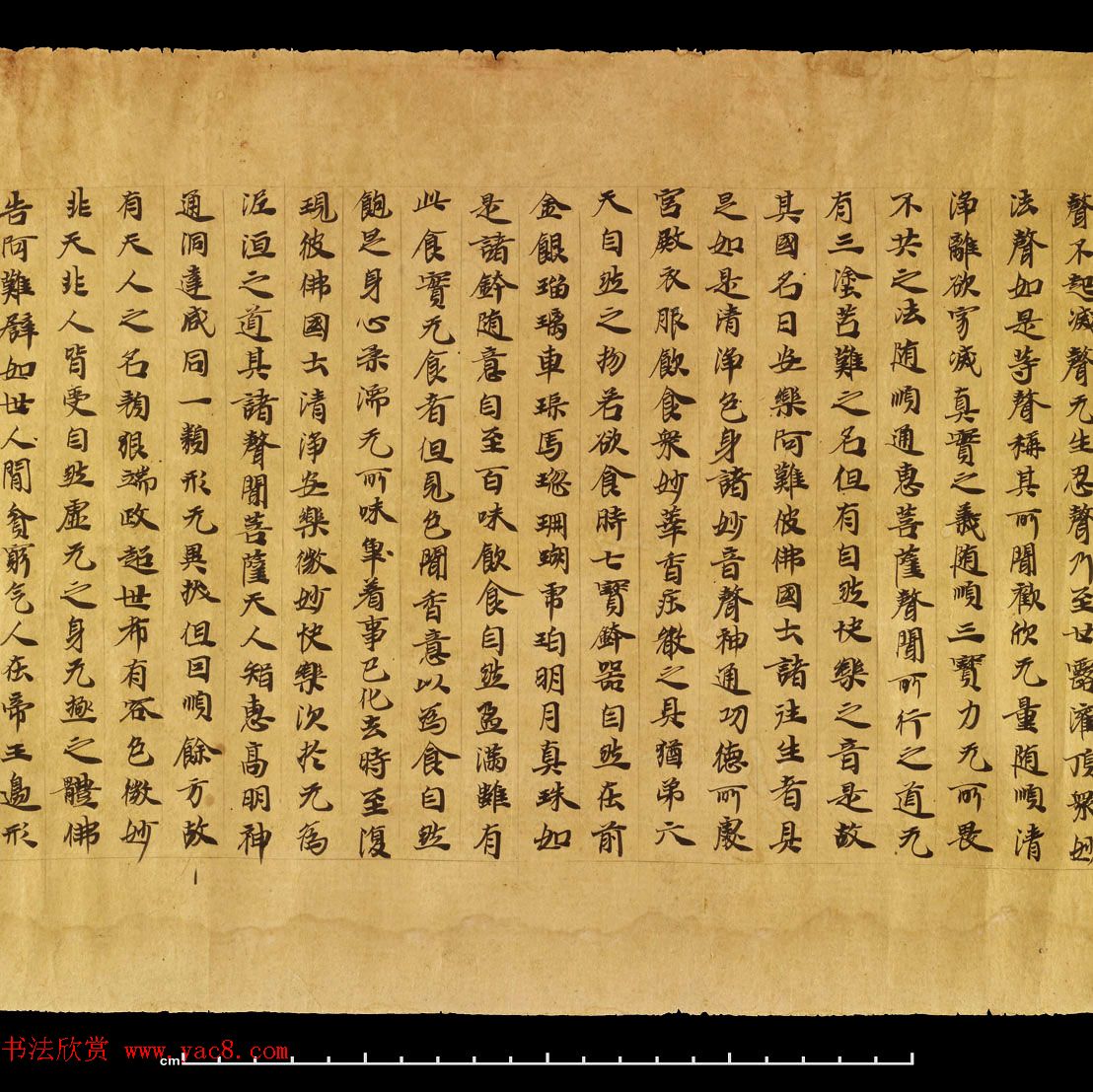 敦煌遗书《无量寿经卷上》日本藏