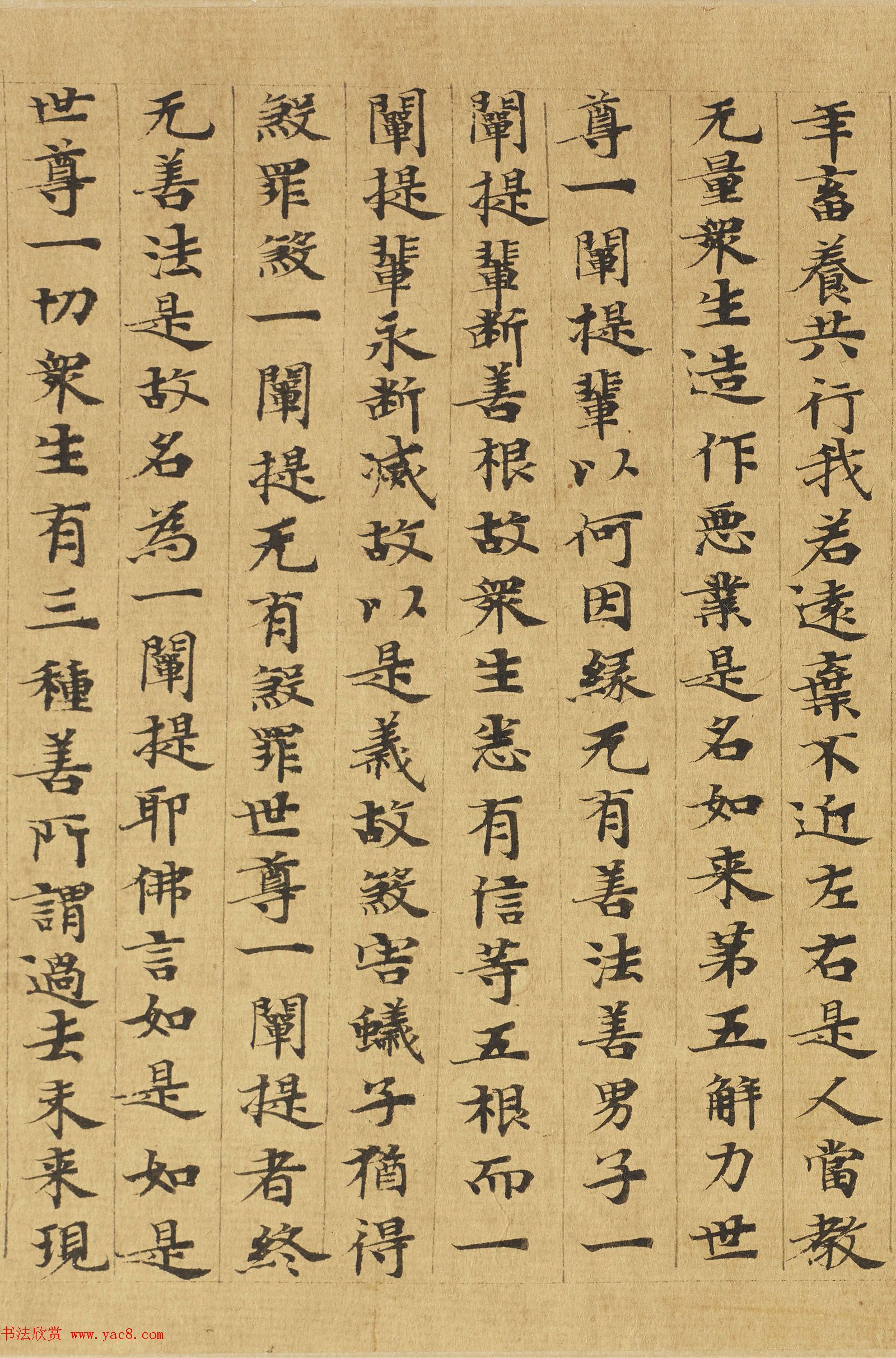 楷书高清大图欣赏《大般涅槃经迦叶菩萨品第十二》