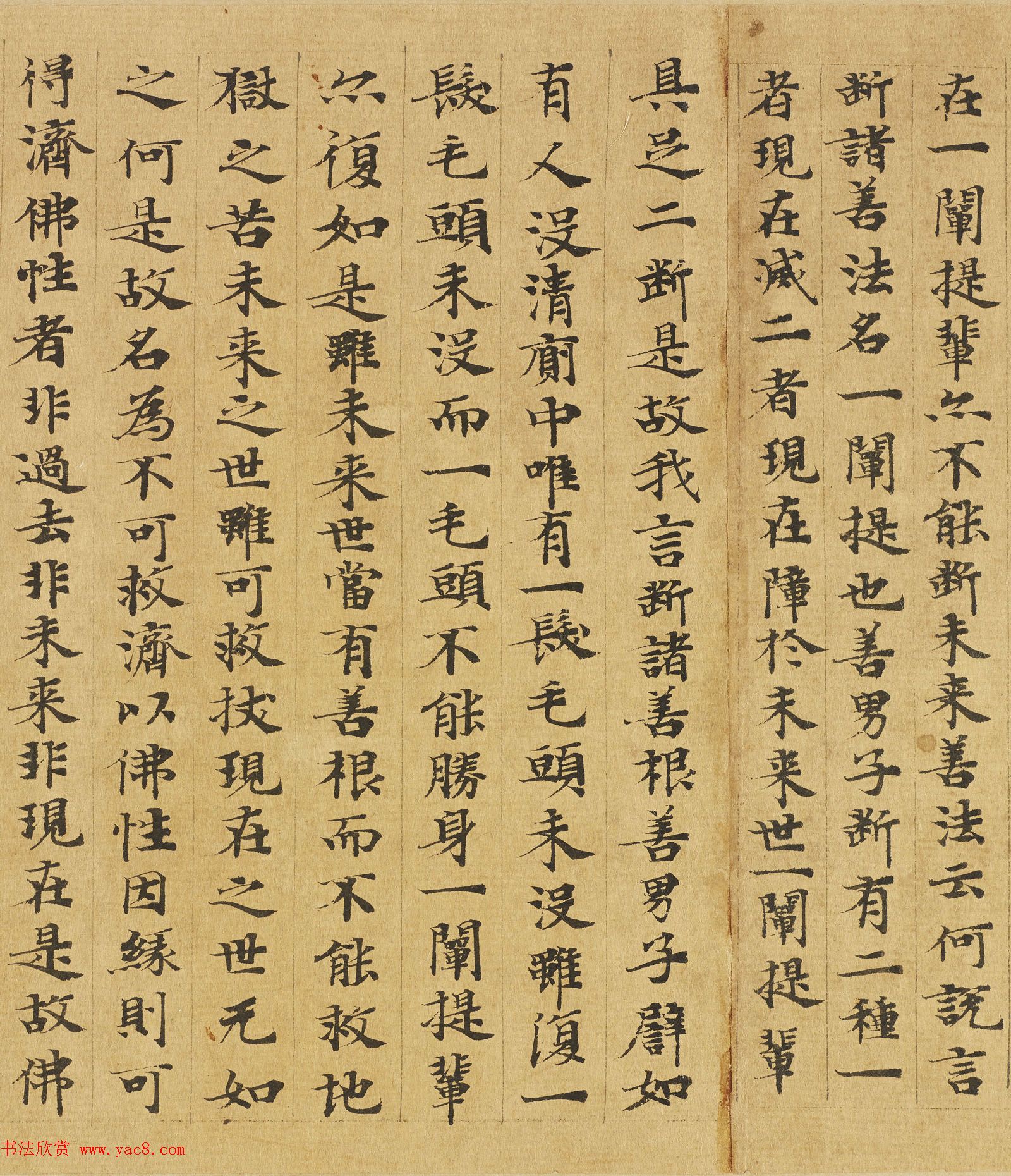 楷书高清大图欣赏《大般涅槃经迦叶菩萨品第十二》