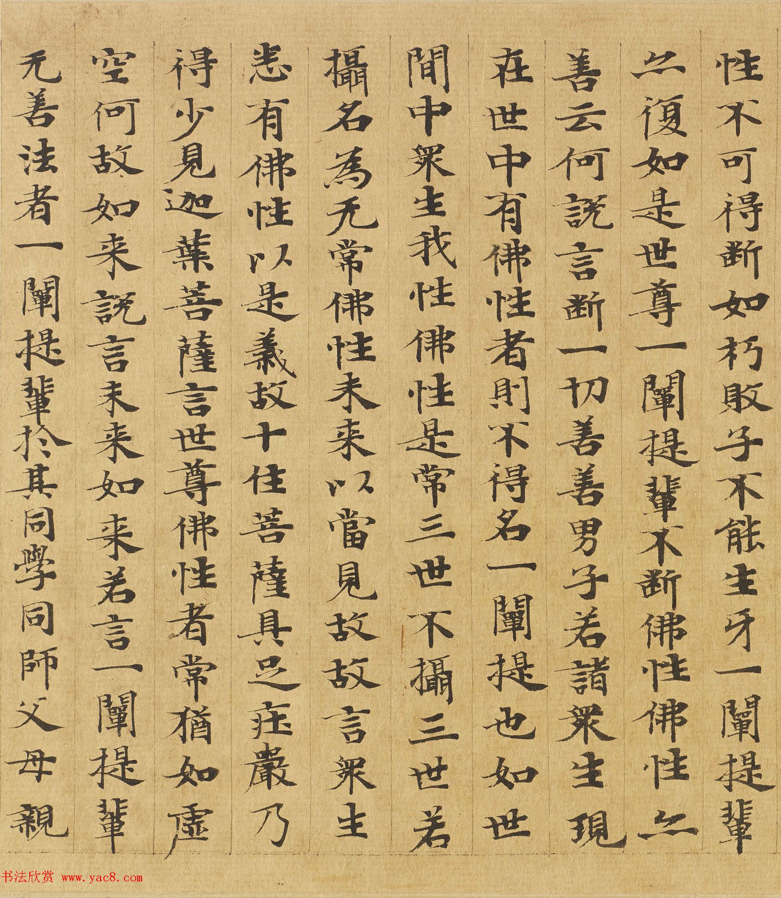 楷书高清大图欣赏《大般涅槃经迦叶菩萨品第十二》