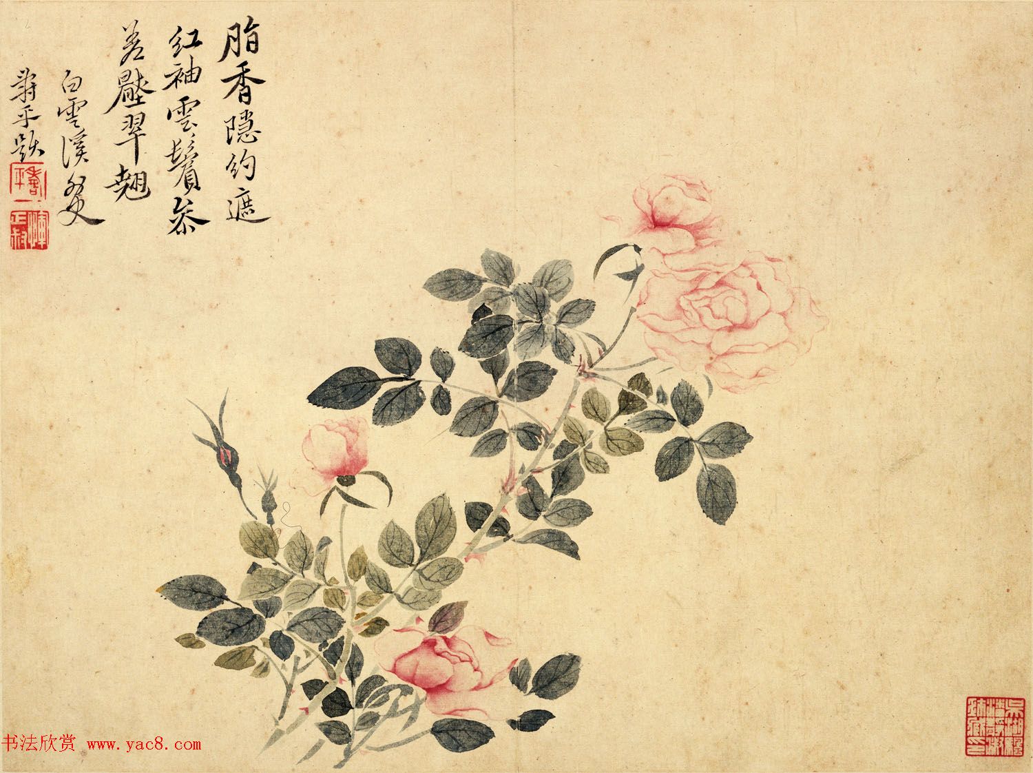 清代恽寿平书法字画花卉八开 清代恽寿平书法字画花卉八开