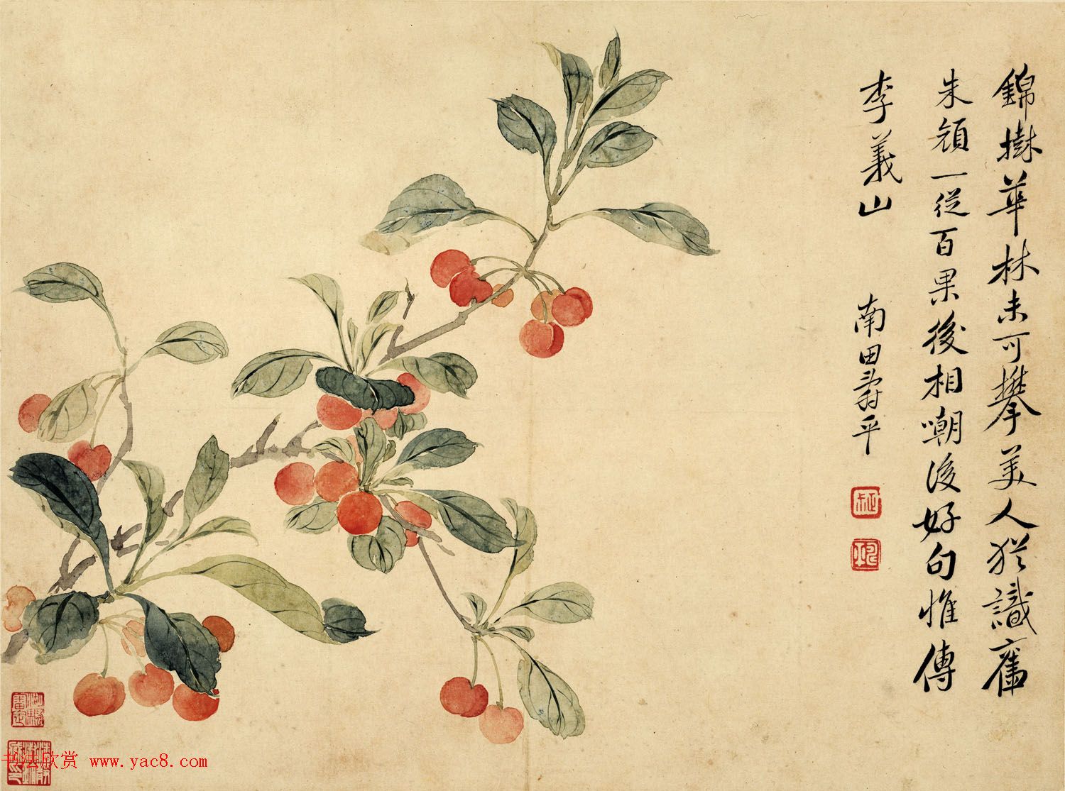 清代恽寿平书法字画花卉八开 清代恽寿平书法字画花卉八开