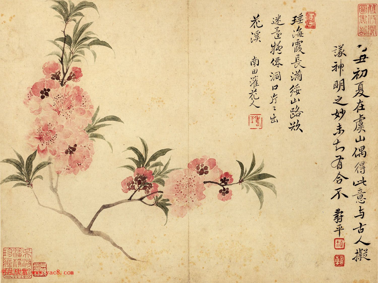 清代恽寿平书法字画花卉八开 清代恽寿平书法字画花卉八开