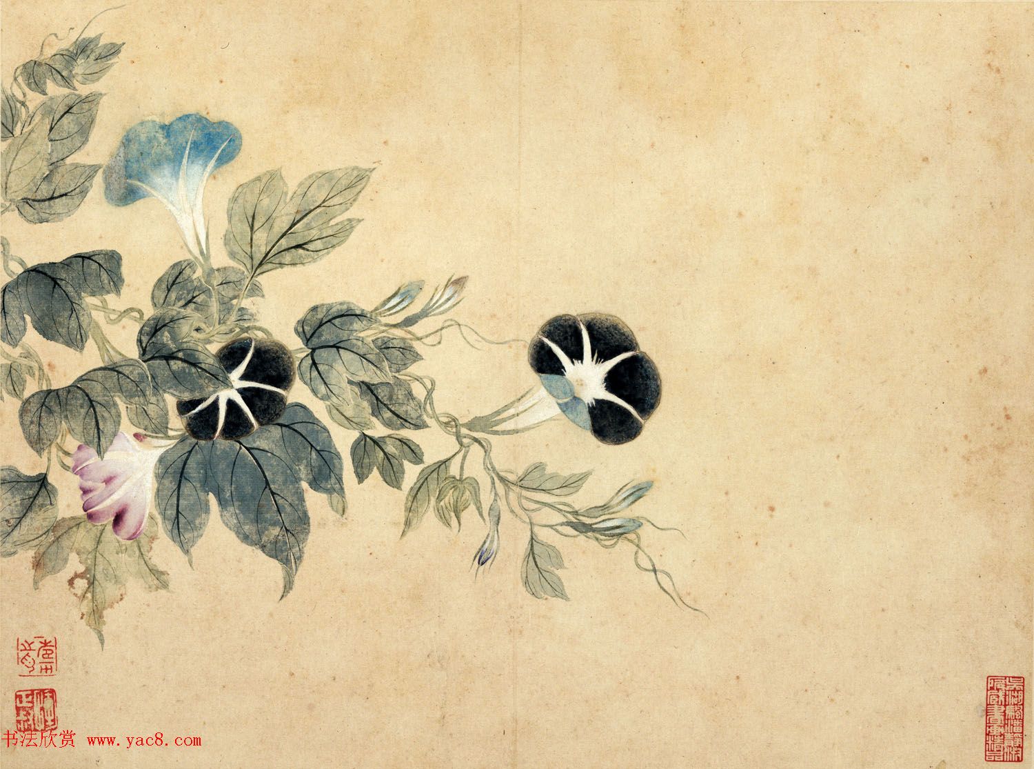 清代恽寿平书法字画花卉八开 清代恽寿平书法字画花卉八开