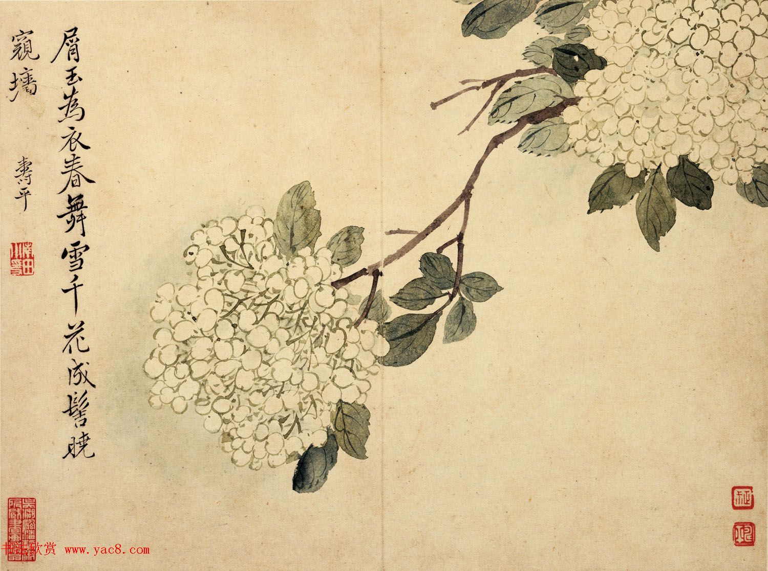 清代恽寿平书法字画花卉八开 清代恽寿平书法字画花卉八开