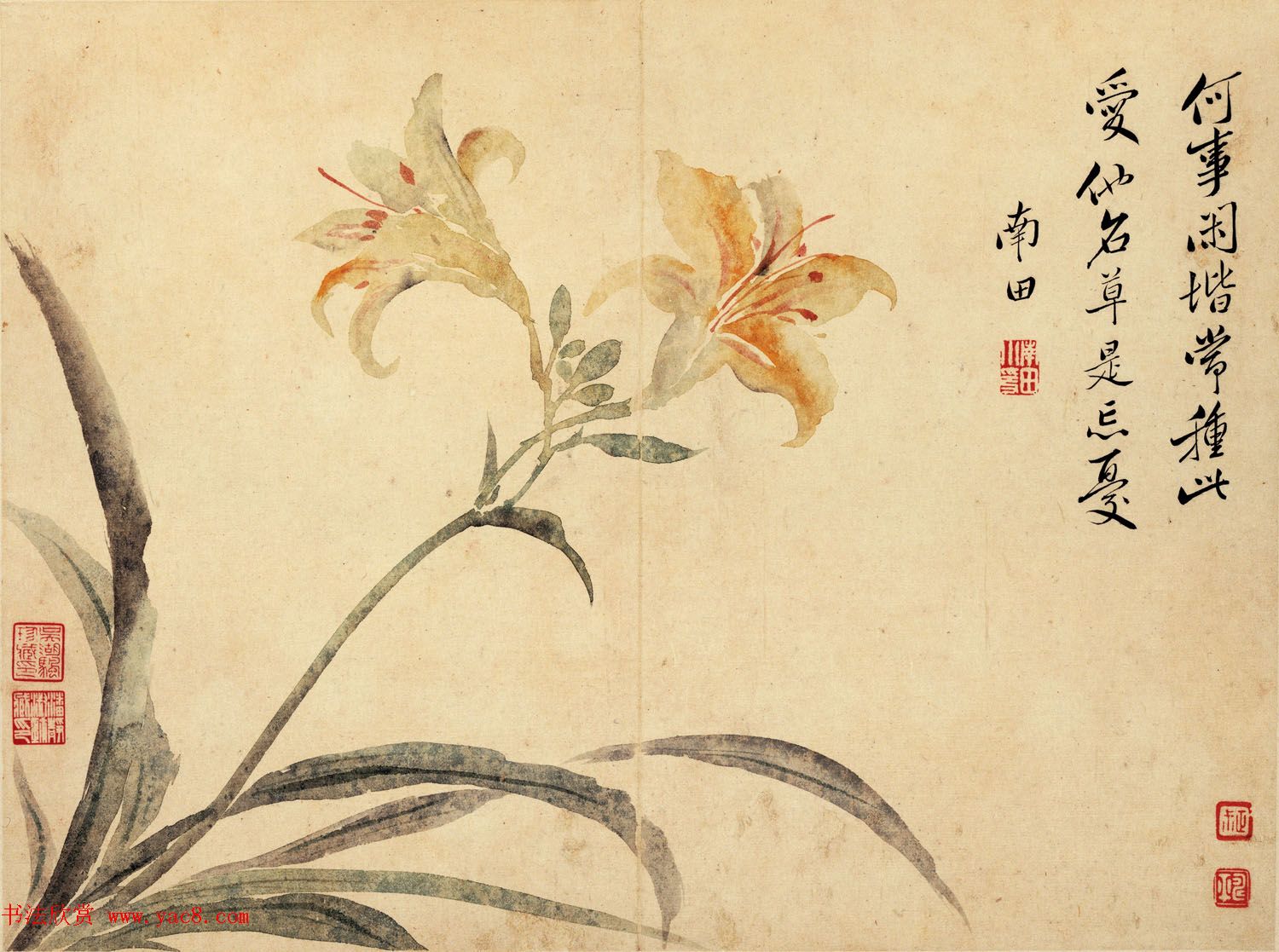 清代恽寿平书法字画花卉八开 清代恽寿平书法字画花卉八开