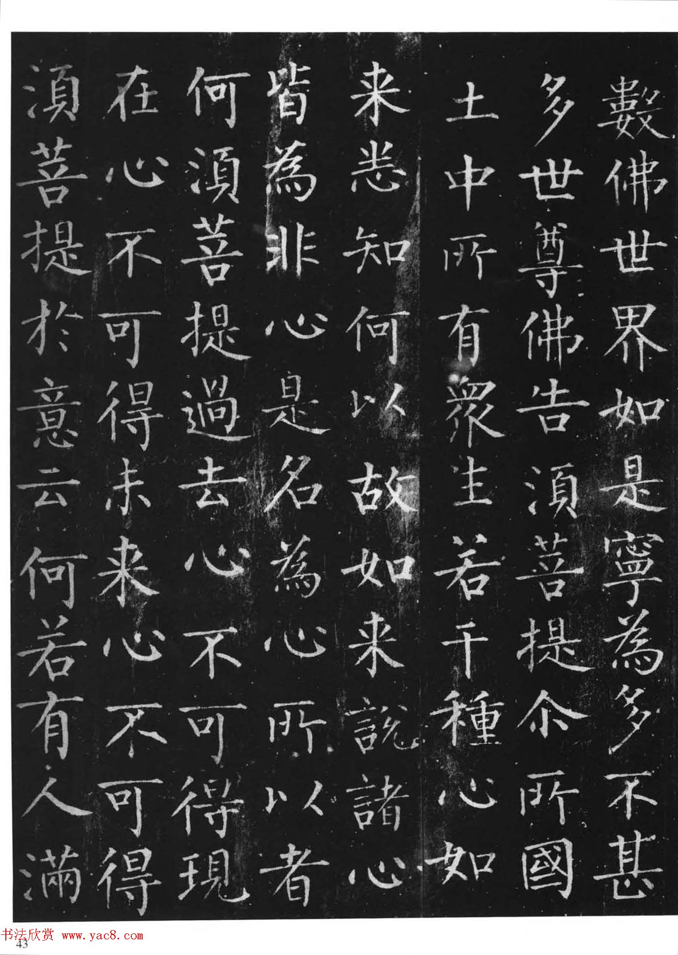 柳体楷书字帖《柳公权金刚经》