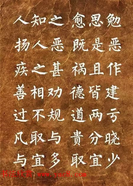 柳体楷书欣赏《李毓秀弟子规》