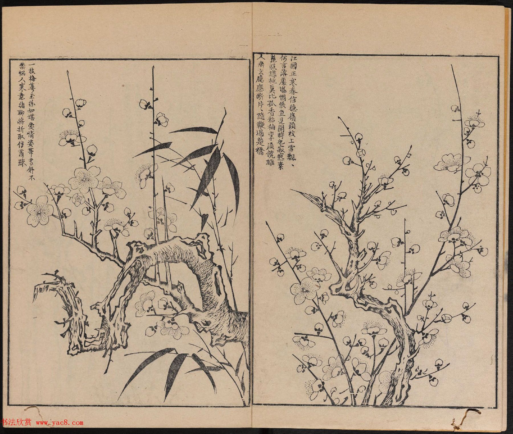 明代黄凤池辑《唐诗画谱》8卷.pdf下载 明代黄凤池辑《唐诗画谱》8卷.pdf下载