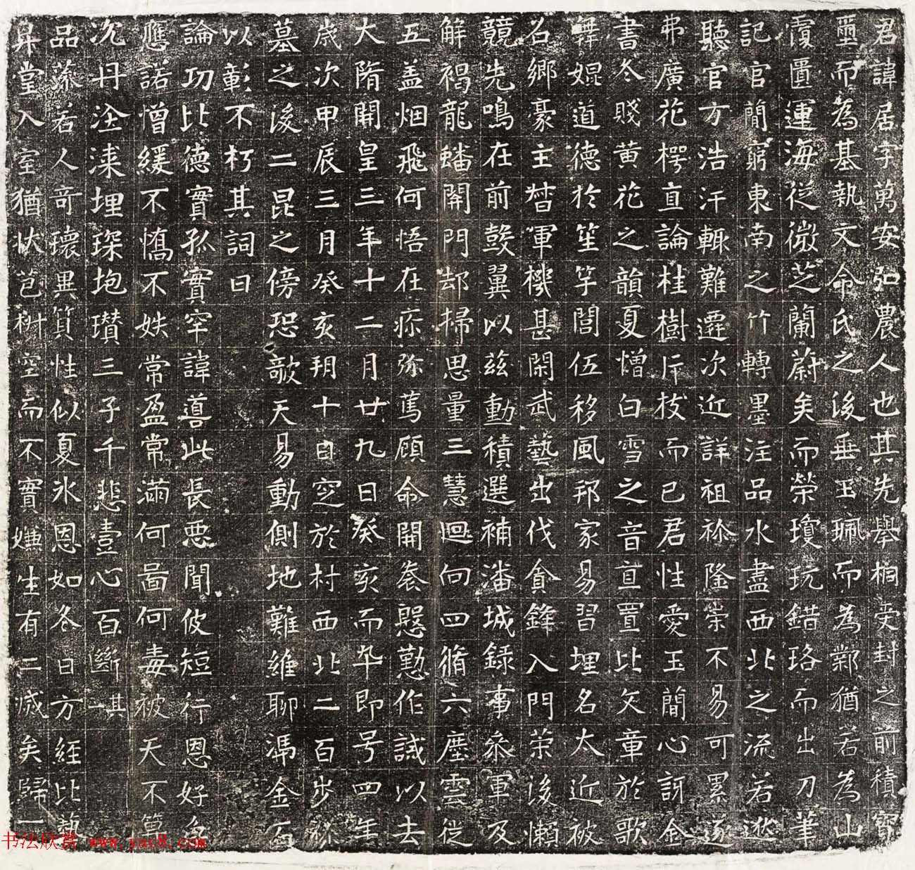 隋朝楷书石刻欣赏《杨居墓志并盖》