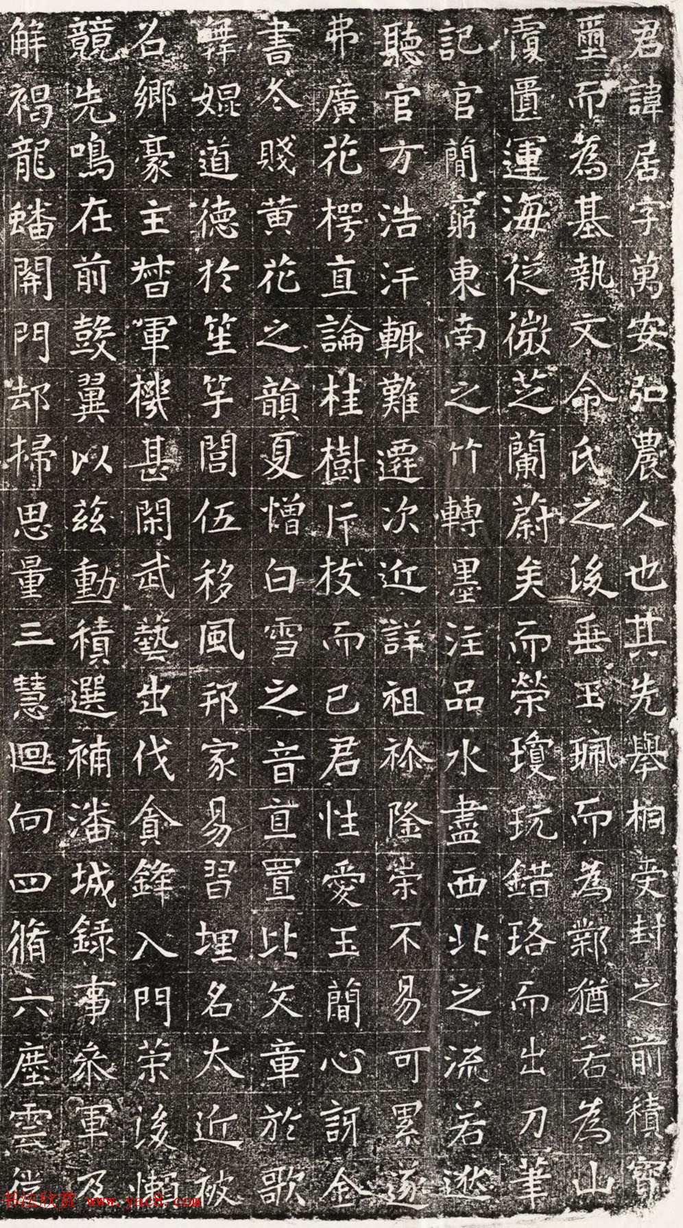 隋朝楷书石刻欣赏《杨居墓志并盖》