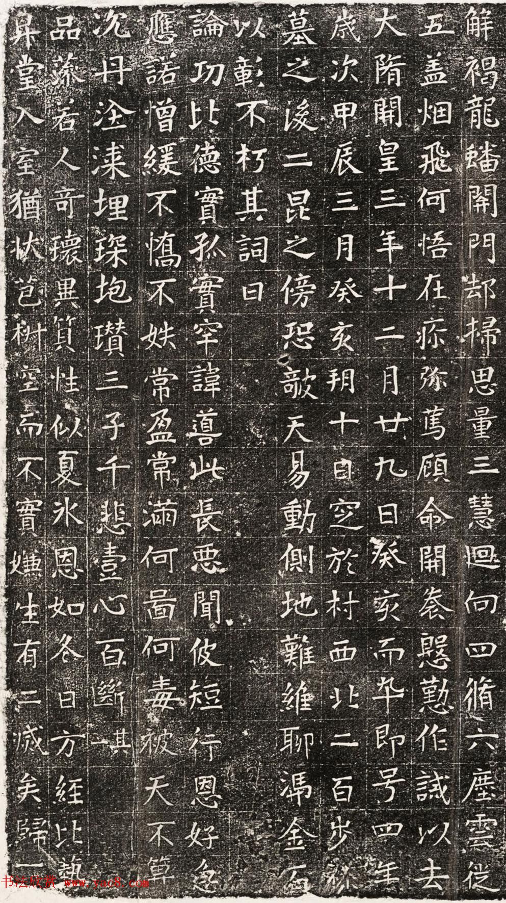 隋朝楷书石刻欣赏《杨居墓志并盖》