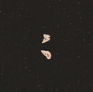 楷书艺术的鼻祖:钟繇《宣示表》单字帖