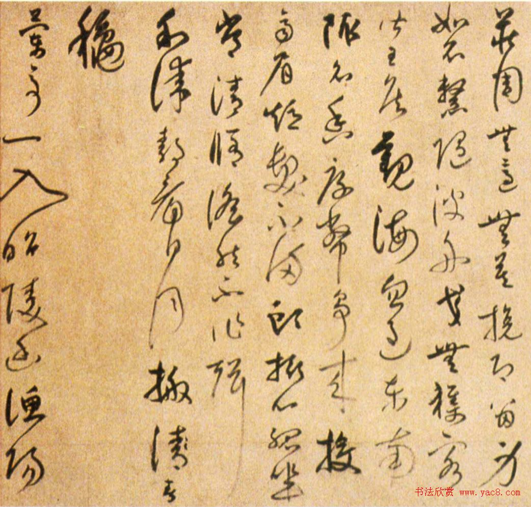 陆居仁草书赏析《跋鲜于枢诗赞卷》