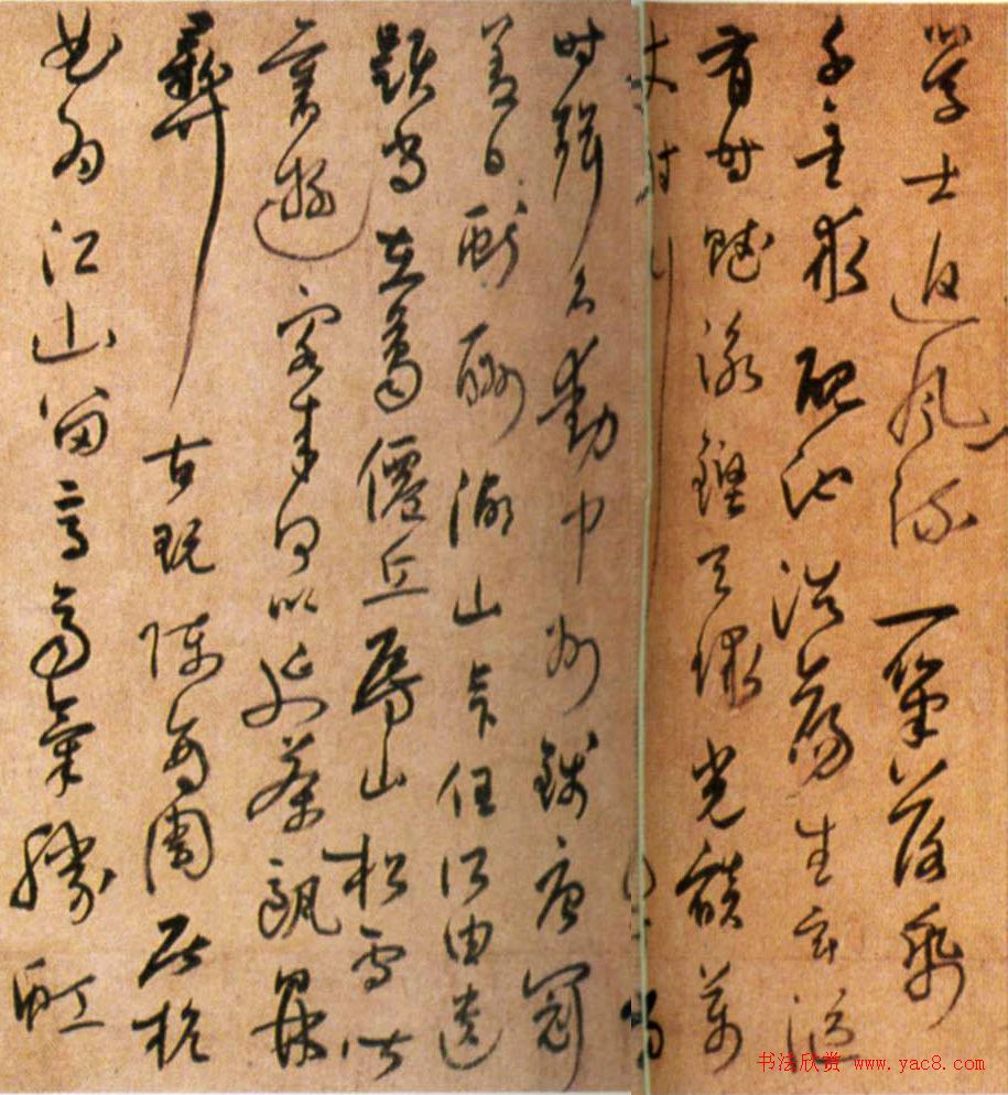 陆居仁草书赏析《跋鲜于枢诗赞卷》