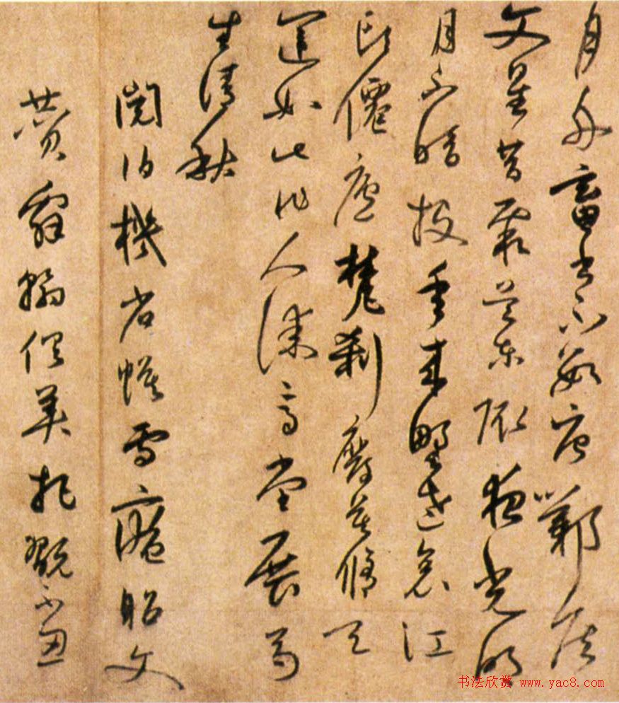 陆居仁草书赏析《跋鲜于枢诗赞卷》