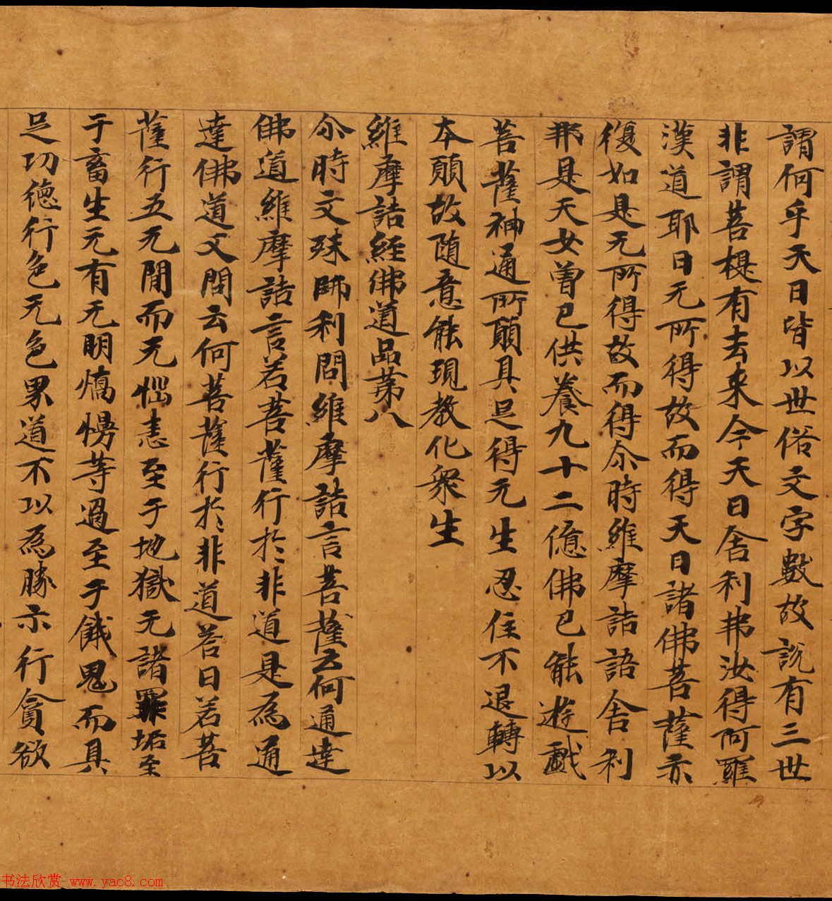 敦煌遗书精选《维摩诘所说经卷中》