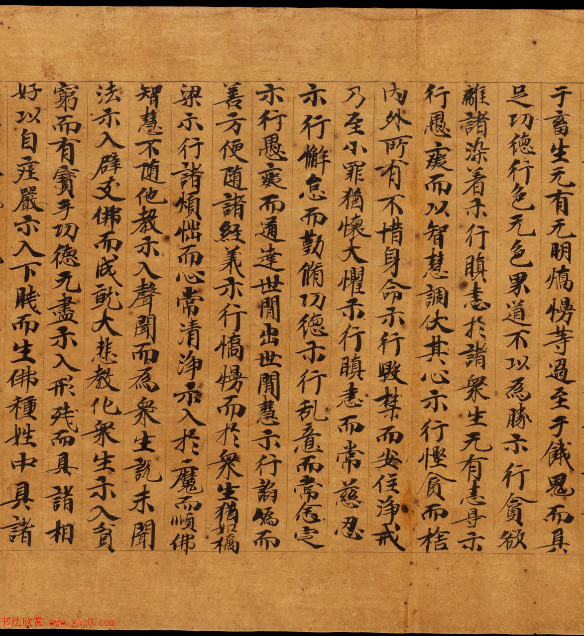 敦煌遗书精选《维摩诘所说经卷中》