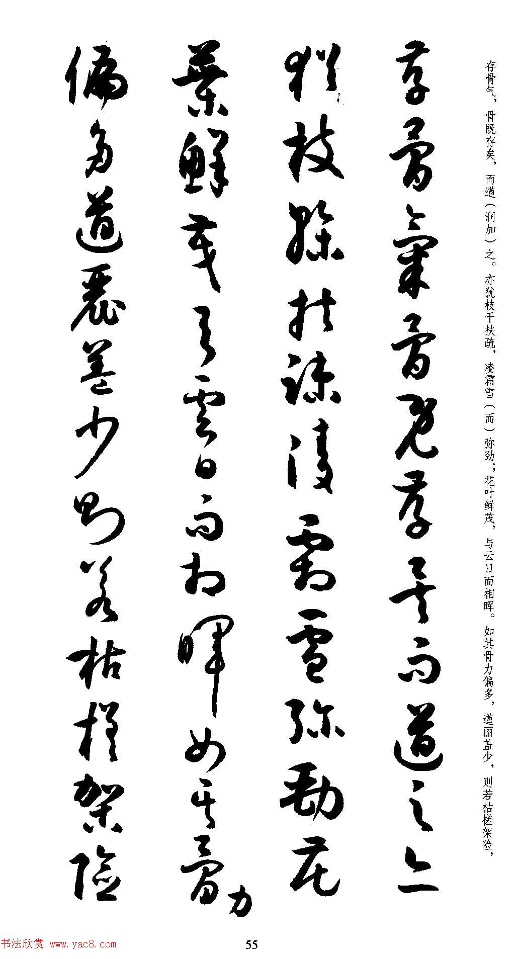 名家草书字帖《潘伯鹰临书谱》