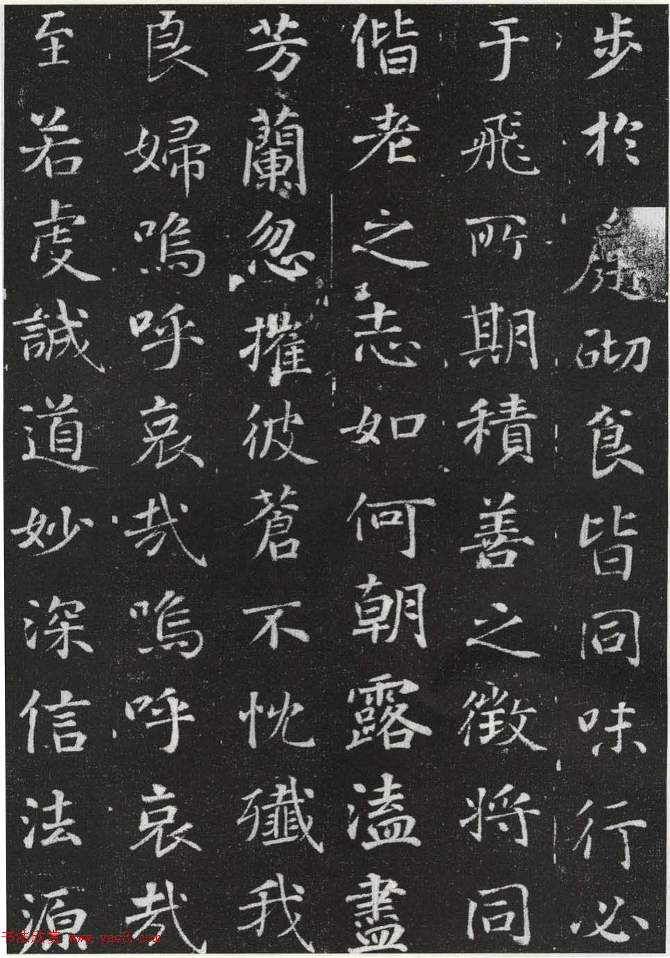 唐代徐浩楷书石刻《李岘妻独孤峻墓志》