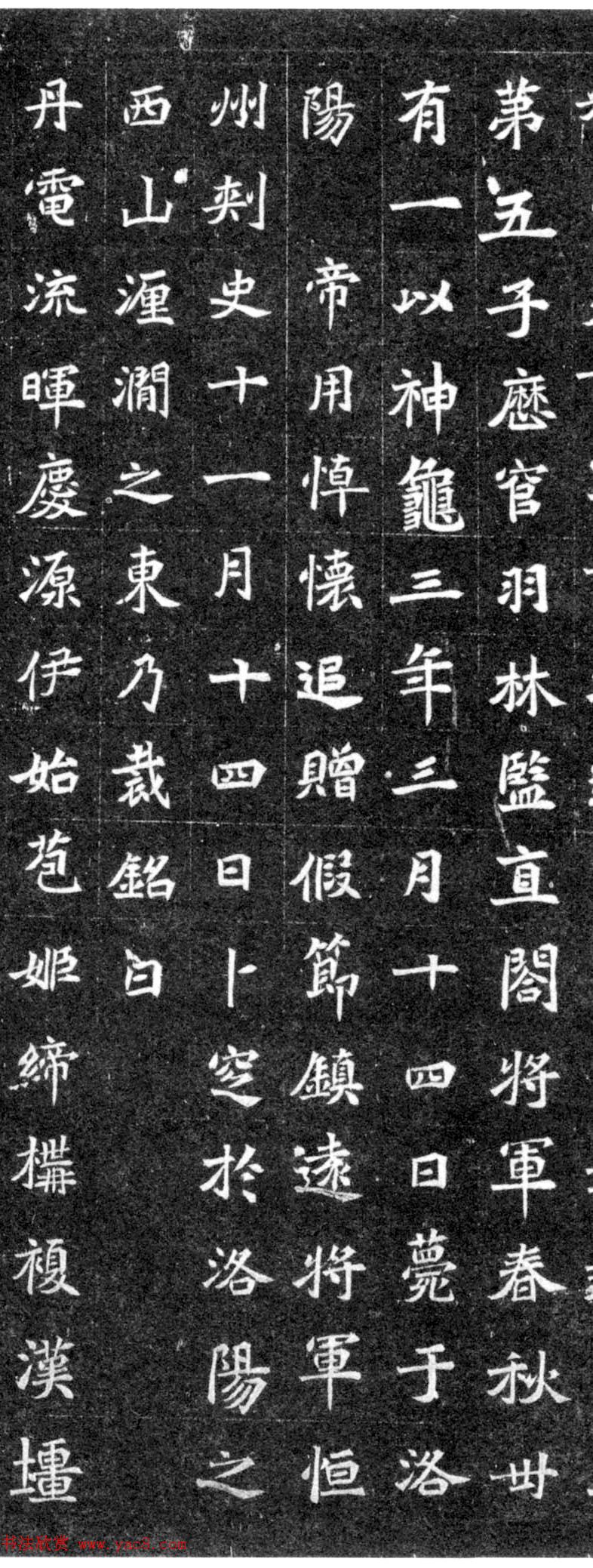 北魏正书石刻《元譿墓志》