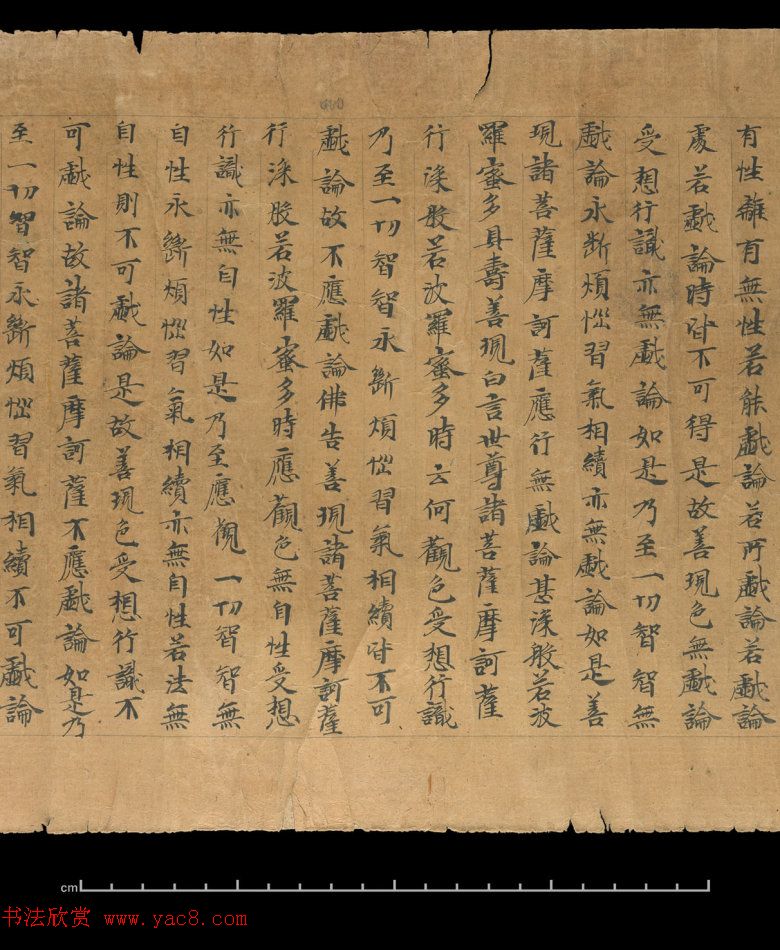 大般若波罗蜜多经卷第四百六十四_俄罗斯藏本