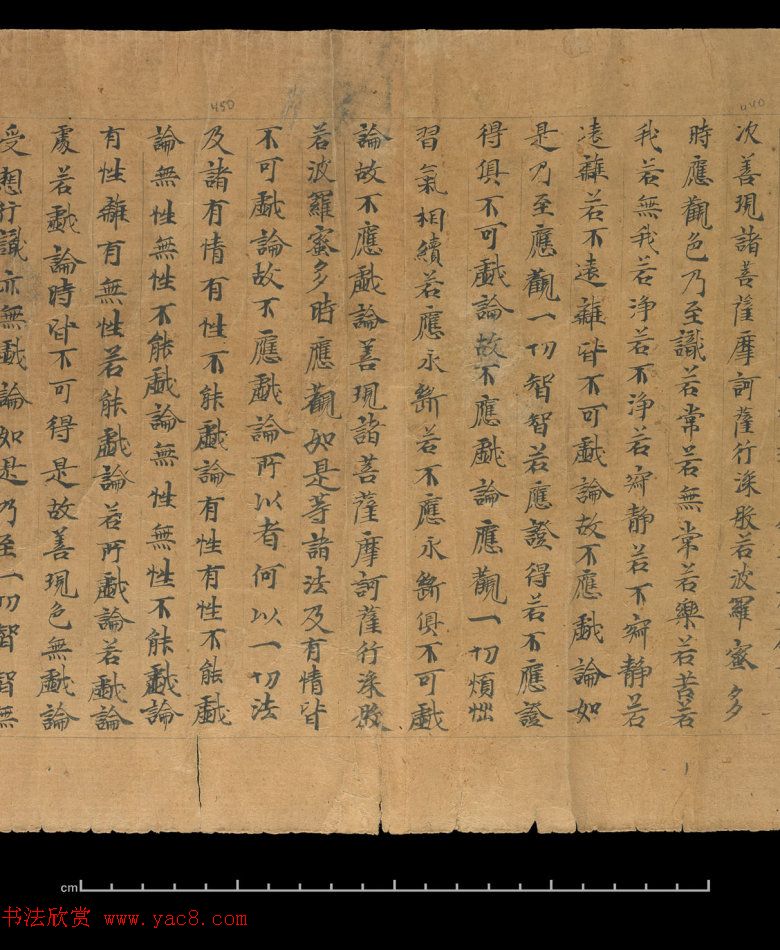 大般若波罗蜜多经卷第四百六十四_俄罗斯藏本