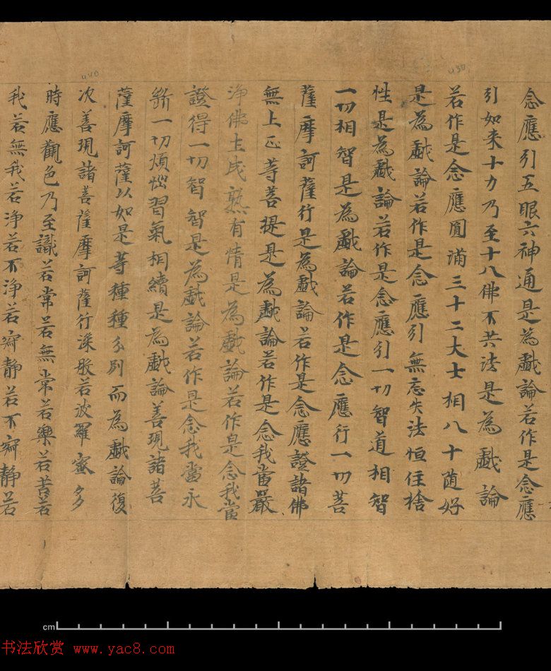 大般若波罗蜜多经卷第四百六十四_俄罗斯藏本