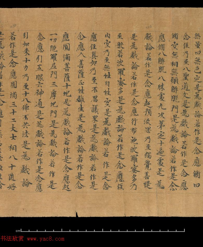 大般若波罗蜜多经卷第四百六十四_俄罗斯藏本