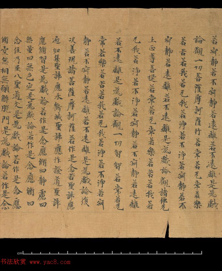 大般若波罗蜜多经卷第四百六十四_俄罗斯藏本